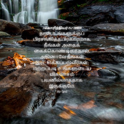 Picture 04 - 1 கொரிந்தியர் 15:2 TAMIRV - நான் உங்களுக்குப் - Bible Verse Picture