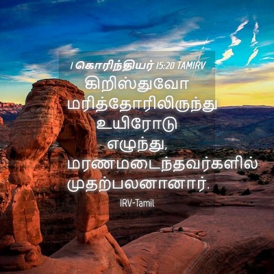 Picture 04 - 1 கொரிந்தியர் 15:20 TAMIRV - கிறிஸ்துவோ - Bible Verse Picture