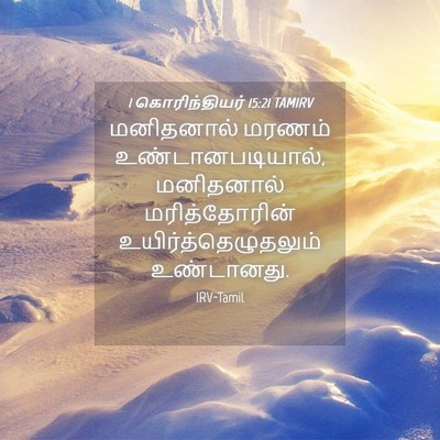 Picture 04 - 1 கொரிந்தியர் 15:21 TAMIRV - மனிதனால் மரணம் - Bible Verse Picture