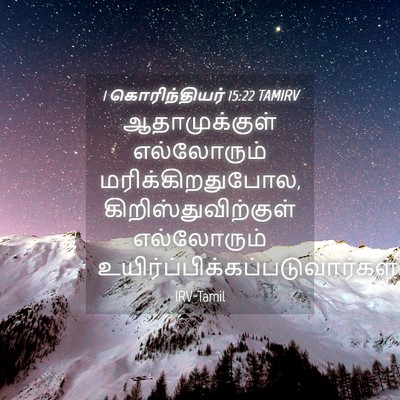 Picture 04 - 1 கொரிந்தியர் 15:22 TAMIRV - ஆதாமுக்குள் - Bible Verse Picture