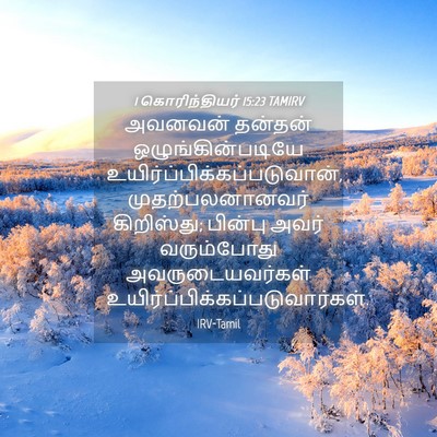 Picture 04 - 1 கொரிந்தியர் 15:23 TAMIRV - அவனவன் தன்தன் - Bible Verse Picture