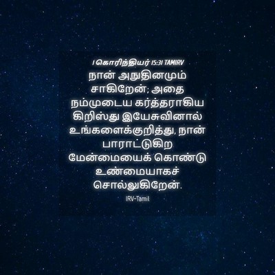 Picture 04 - 1 கொரிந்தியர் 15:31 TAMIRV - நான் அநுதினமும் - Bible Verse Picture