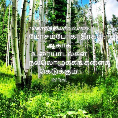 Picture 04 - 1 கொரிந்தியர் 15:33 TAMIRV - மோசம்போகாதீர்கள்; - Bible Verse Picture