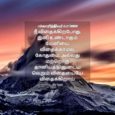 Picture 04 - 1 கொரிந்தியர் 15:37 TAMIRV - நீ விதைக்கிறபோது, - Bible Verse Picture