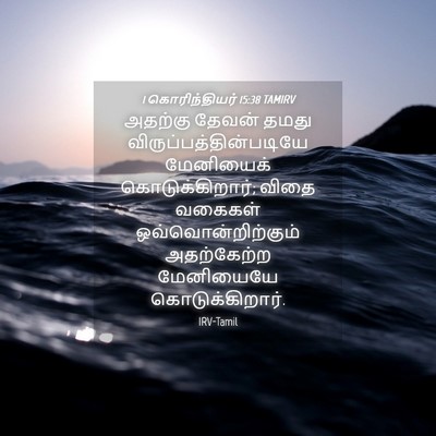 Picture 04 - 1 கொரிந்தியர் 15:38 TAMIRV - அதற்கு தேவன் தமது - Bible Verse Picture