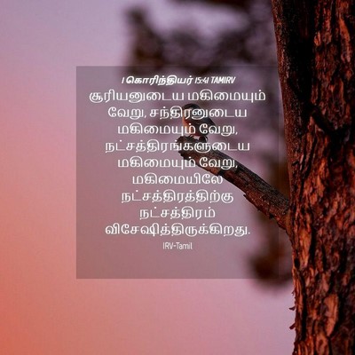 Picture 04 - 1 கொரிந்தியர் 15:41 TAMIRV - சூரியனுடைய - Bible Verse Picture