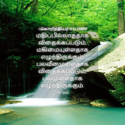 Picture 04 - 1 கொரிந்தியர் 15:43 TAMIRV - மதிப்பில்லாததாக - Bible Verse Picture