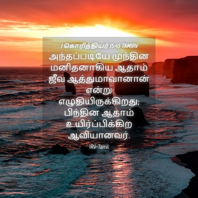 Picture 04 - 1 கொரிந்தியர் 15:45 TAMIRV - அந்தப்படியே - Bible Verse Picture