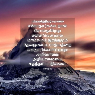Picture 04 - 1 கொரிந்தியர் 15:50 TAMIRV - சகோதரர்களே, நான் - Bible Verse Picture