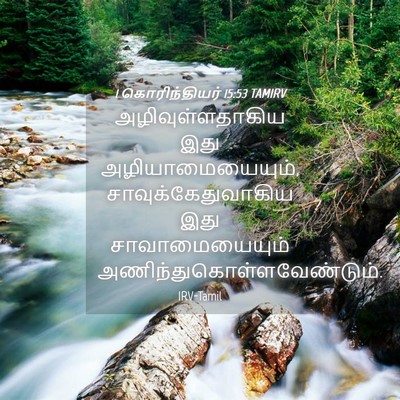 Picture 04 - 1 கொரிந்தியர் 15:53 TAMIRV - அழிவுள்ளதாகிய இது - Bible Verse Picture