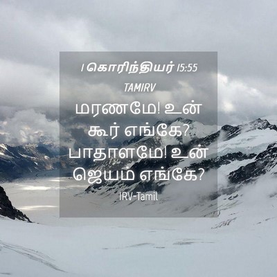 Picture 04 - 1 கொரிந்தியர் 15:55 TAMIRV - மரணமே! உன் கூர் - Bible Verse Picture