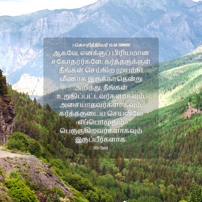 Picture 04 - 1 கொரிந்தியர் 15:58 TAMIRV - ஆகவே, எனக்குப் - Bible Verse Picture