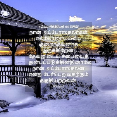 Picture 04 - 1 கொரிந்தியர் 15:9 TAMIRV - நான் - Bible Verse Picture