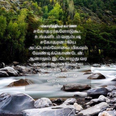 Picture 04 - 1 கொரிந்தியர் 16:12 TAMIRV - சகோதரர்களோடுகூட - Bible Verse Picture