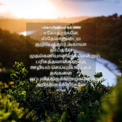 Picture 04 - 1 கொரிந்தியர் 16:15 TAMIRV - சகோதரர்களே, - Bible Verse Picture