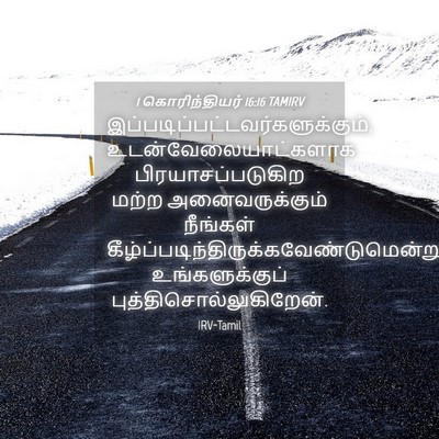 Picture 04 - 1 கொரிந்தியர் 16:16 TAMIRV -  - Bible Verse Picture