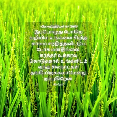 Picture 04 - 1 கொரிந்தியர் 16:7 TAMIRV - இப்பொழுது போகிற - Bible Verse Picture