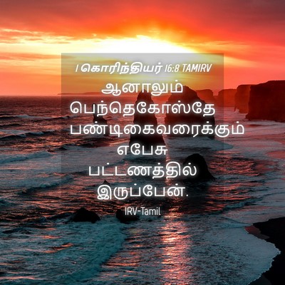 Picture 04 - 1 கொரிந்தியர் 16:8 TAMIRV - ஆனாலும் - Bible Verse Picture