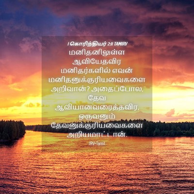 Picture 04 - 1 கொரிந்தியர் 2:11 TAMIRV - மனிதனிலுள்ள - Bible Verse Picture