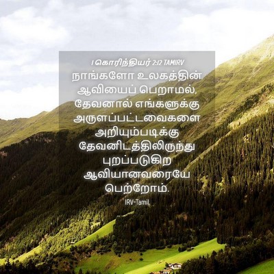 Picture 04 - 1 கொரிந்தியர் 2:12 TAMIRV - நாங்களோ உலகத்தின் - Bible Verse Picture