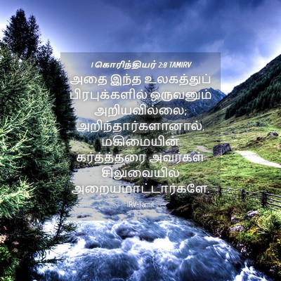 Picture 04 - 1 கொரிந்தியர் 2:8 TAMIRV - அதை இந்த - Bible Verse Picture