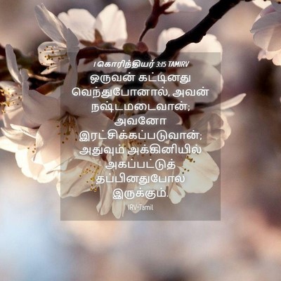 Picture 04 - 1 கொரிந்தியர் 3:15 TAMIRV - ஒருவன் கட்டினது - Bible Verse Picture