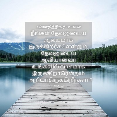 Picture 04 - 1 கொரிந்தியர் 3:16 TAMIRV - நீங்கள் தேவனுடைய - Bible Verse Picture