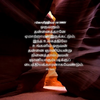 Picture 04 - 1 கொரிந்தியர் 3:18 TAMIRV - ஒருவனும் - Bible Verse Picture