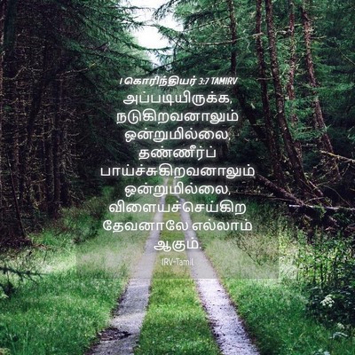 Picture 04 - 1 கொரிந்தியர் 3:7 TAMIRV - அப்படியிருக்க, - Bible Verse Picture