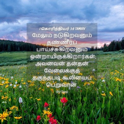 Picture 04 - 1 கொரிந்தியர் 3:8 TAMIRV - மேலும் - Bible Verse Picture