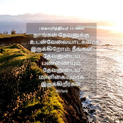 Picture 04 - 1 கொரிந்தியர் 3:9 TAMIRV - நாங்கள் தேவனுக்கு - Bible Verse Picture