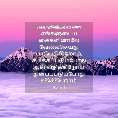 Picture 04 - 1 கொரிந்தியர் 4:12 TAMIRV - எங்களுடைய - Bible Verse Picture