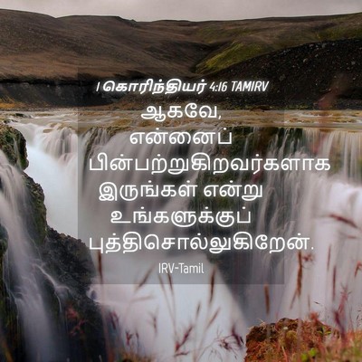 Picture 04 - 1 கொரிந்தியர் 4:16 TAMIRV - ஆகவே, என்னைப் - Bible Verse Picture