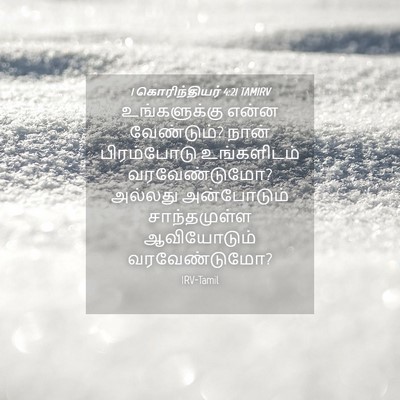 Picture 04 - 1 கொரிந்தியர் 4:21 TAMIRV - உங்களுக்கு என்ன - Bible Verse Picture