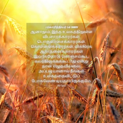 Picture 04 - 1 கொரிந்தியர் 5:10 TAMIRV - ஆனாலும், இந்த - Bible Verse Picture