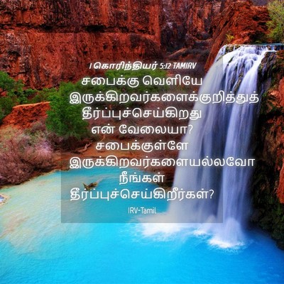 Picture 04 - 1 கொரிந்தியர் 5:12 TAMIRV - சபைக்கு வெளியே - Bible Verse Picture