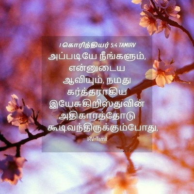 Picture 04 - 1 கொரிந்தியர் 5:4 TAMIRV - அப்படியே - Bible Verse Picture