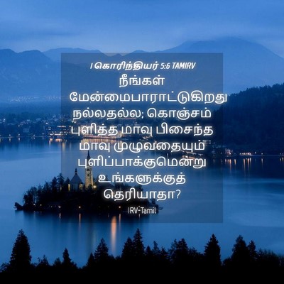Picture 04 - 1 கொரிந்தியர் 5:6 TAMIRV - நீங்கள் - Bible Verse Picture