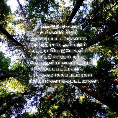 Picture 04 - 1 கொரிந்தியர் 6:11 TAMIRV - உங்களில் சிலர் - Bible Verse Picture
