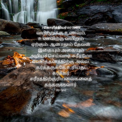 Picture 04 - 1 கொரிந்தியர் 6:13 TAMIRV - வயிற்றுக்கு - Bible Verse Picture