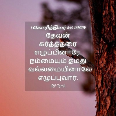 Picture 04 - 1 கொரிந்தியர் 6:14 TAMIRV - தேவன் கர்த்த்தரை - Bible Verse Picture