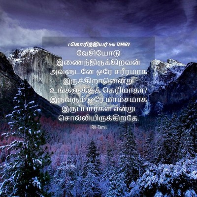 Picture 04 - 1 கொரிந்தியர் 6:16 TAMIRV - வேசியோடு - Bible Verse Picture