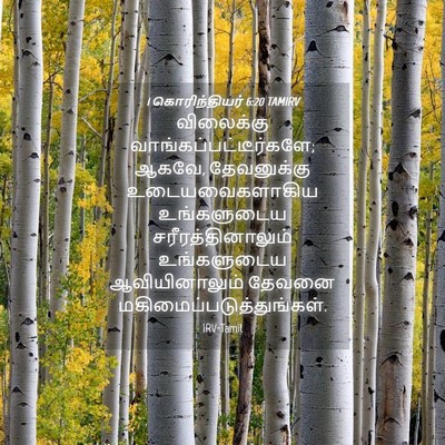 Picture 04 - 1 கொரிந்தியர் 6:20 TAMIRV - விலைக்கு - Bible Verse Picture