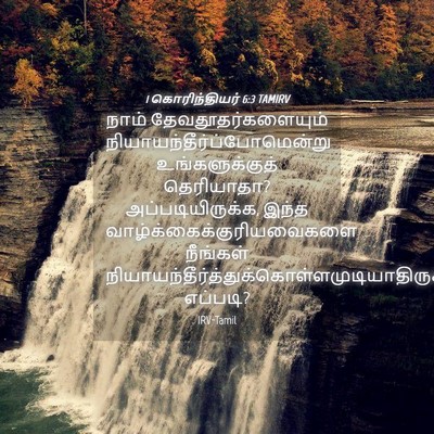 Picture 04 - 1 கொரிந்தியர் 6:3 TAMIRV - நாம் - Bible Verse Picture