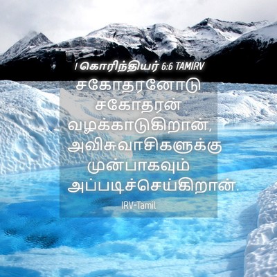 Picture 04 - 1 கொரிந்தியர் 6:6 TAMIRV - சகோதரனோடு சகோதரன் - Bible Verse Picture