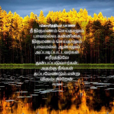 Picture 04 - 1 கொரிந்தியர் 7:28 TAMIRV - நீ திருமணம் - Bible Verse Picture
