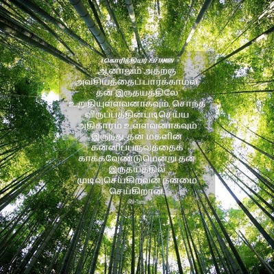 Picture 04 - 1 கொரிந்தியர் 7:37 TAMIRV - ஆனாலும் அதற்கு - Bible Verse Picture