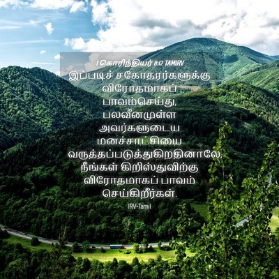 Picture 04 - 1 கொரிந்தியர் 8:12 TAMIRV - இப்படிச் - Bible Verse Picture