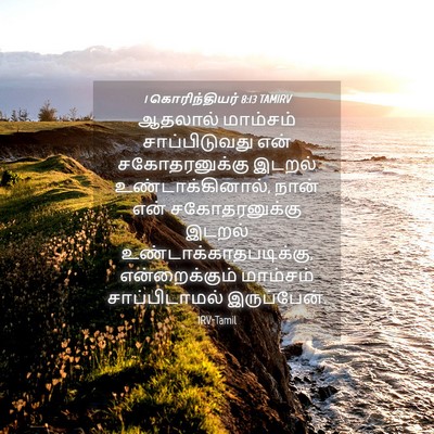 Picture 04 - 1 கொரிந்தியர் 8:13 TAMIRV - ஆதலால் மாம்சம் - Bible Verse Picture