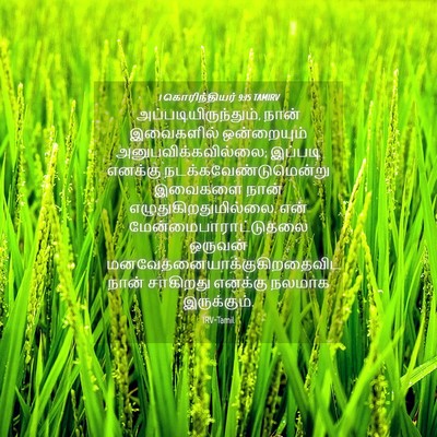 Picture 04 - 1 கொரிந்தியர் 9:15 TAMIRV - அப்படியிருந்தும், - Bible Verse Picture